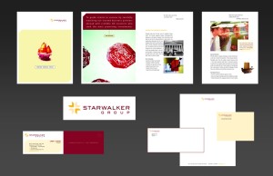 financial services copywriter Los Angeles writer editor bank financial branding and advertising creative development brochure logo design stationery package brand identity package creative services