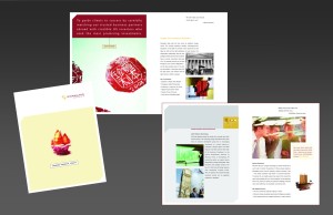 financial services copywriter Los Angeles writer editor bank financial branding and advertising creative development brochure logo design stationery package brand identity package creative services